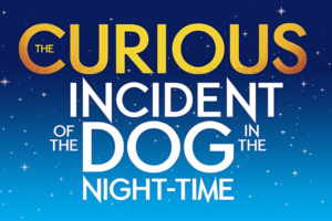 Poster for The Curious Incident of the Dog in the Night-Time with large yellow title on a blue starry background.