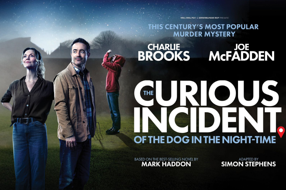 Poster for The Curious Incident of the Dog in the Night-Time with two adults in a field at night Gov blue sky.