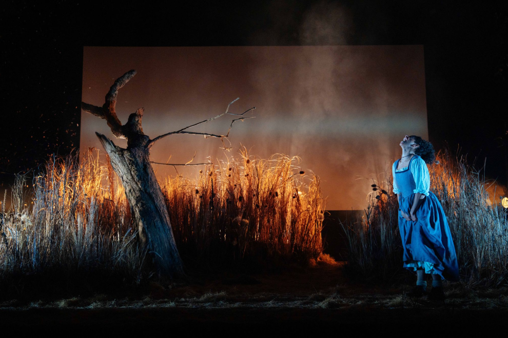 Theatrical scene: a woman in a blue dress stands among tall dried grasses, looking up at an orange smoky backdrop with a leaning dead tree.